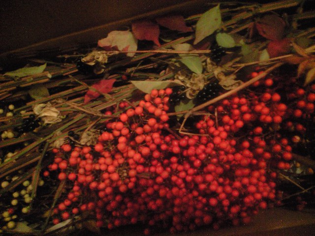 b0083902_18552518.jpg
