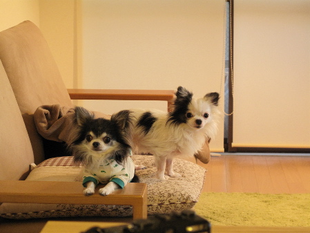 a0079803_04271.jpg