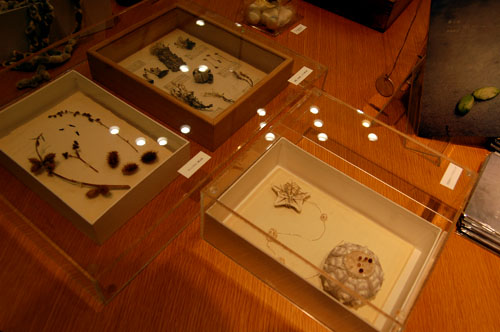 d0015006_1337027.jpg
