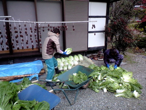 f0135908_1337378.jpg