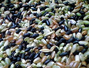 f0135908_1342625.jpg