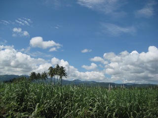 d0149310_14384068.jpg