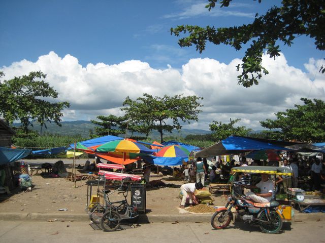 d0149310_1451668.jpg