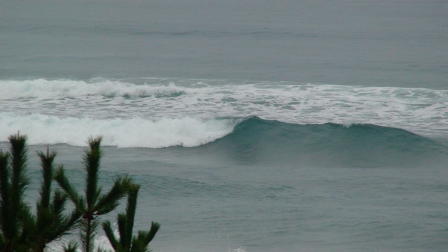 f0116314_19202848.jpg