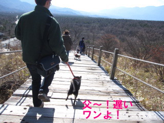 c0185516_10193241.jpg