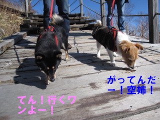c0185516_1020010.jpg