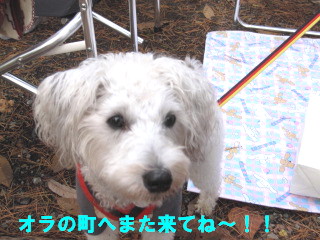 c0185516_1083831.jpg