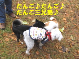 c0185516_114282.jpg