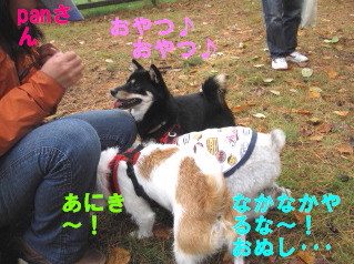 c0185516_17495140.jpg