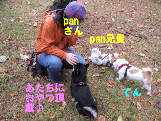 c0185516_9235988.jpg