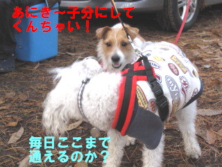 c0185516_9501171.jpg