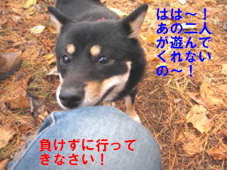 c0185516_9503296.jpg
