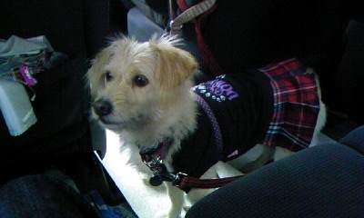 c0150520_2331699.jpg