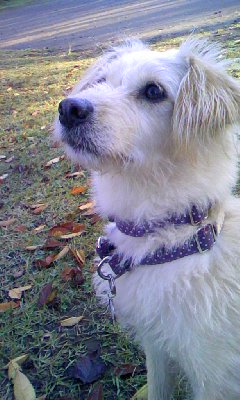 c0150520_2334045.jpg