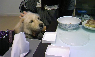 c0150520_2343222.jpg