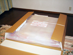 e0016120_1630193.jpg