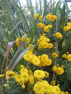 f0139520_22521019.jpg