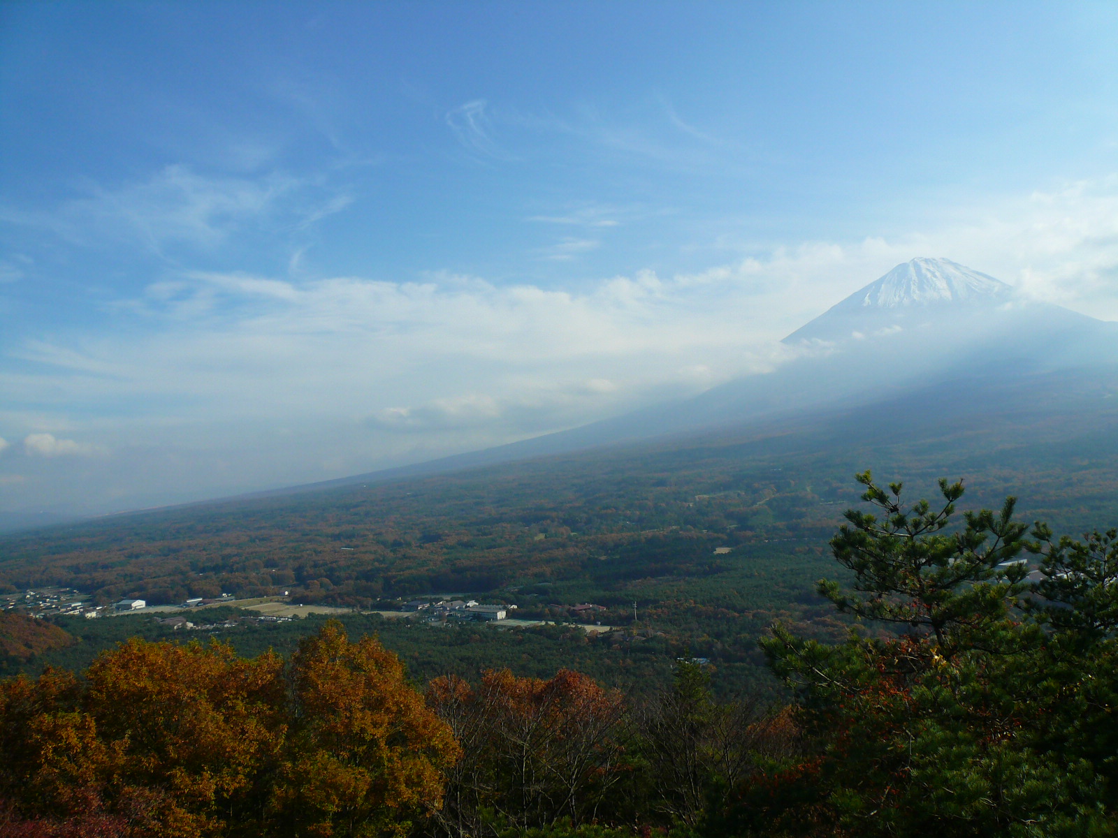 f0163920_23442759.jpg