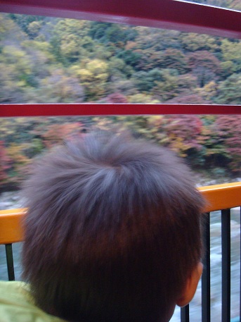 f0042726_16234152.jpg