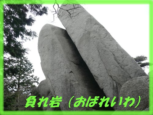c0009528_23173927.jpg