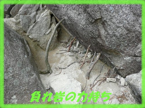 c0009528_2318313.jpg
