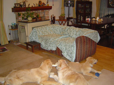 c0197829_2029548.jpg
