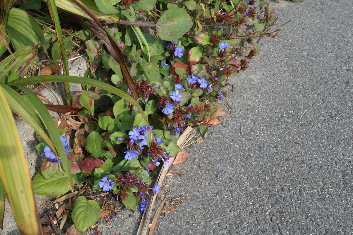 c0073633_22192622.jpg