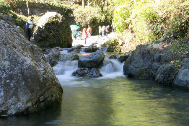 e0064133_024567.jpg
