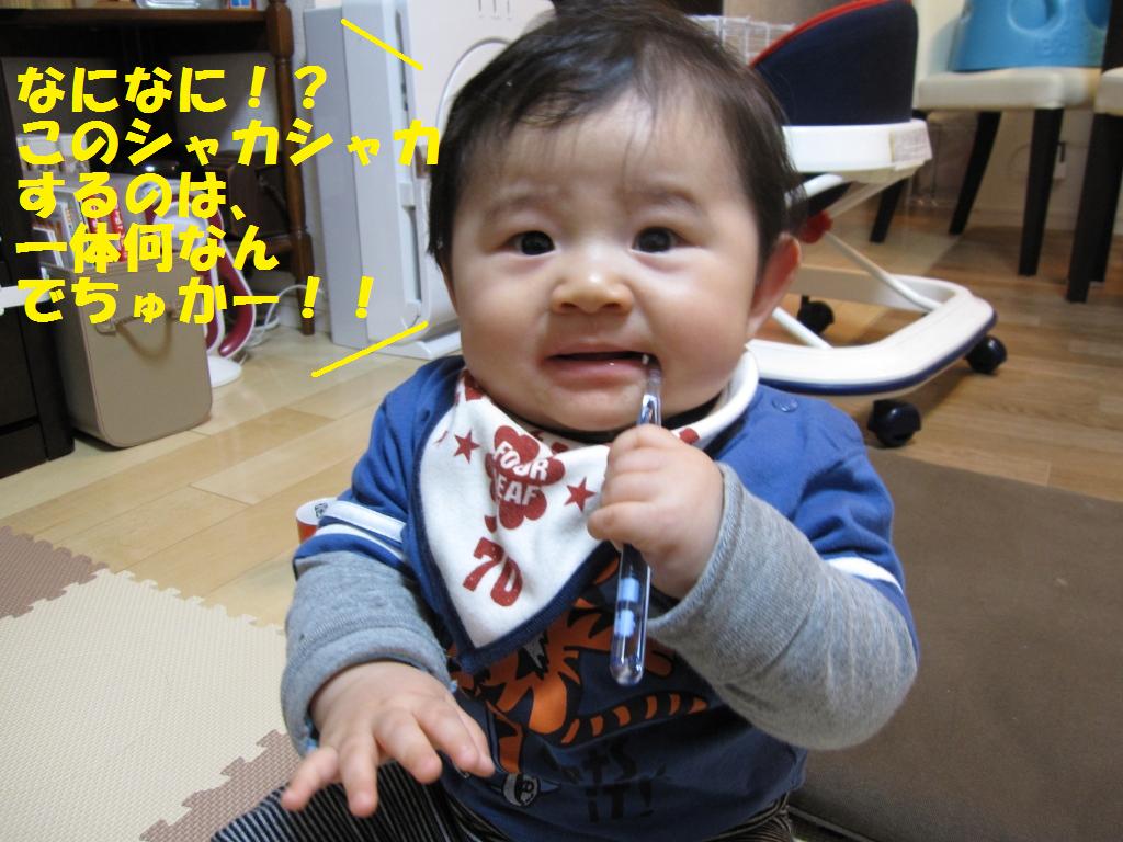 b0149034_11344878.jpg