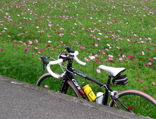 b0149340_20101822.jpg