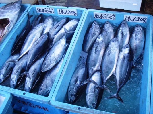 e0119840_2241447.jpg