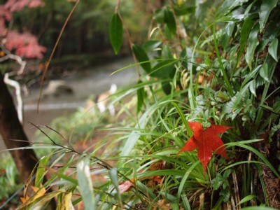 c0119142_421752.jpg