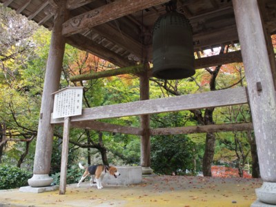 c0119142_4564251.jpg