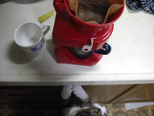 c0194042_2138994.jpg