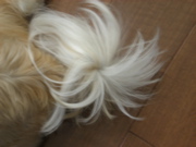 c0153444_758339.jpg