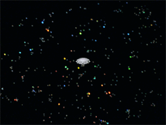 e0005548_2156278.gif