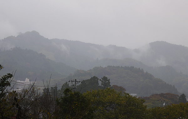 d0091754_1840250.jpg