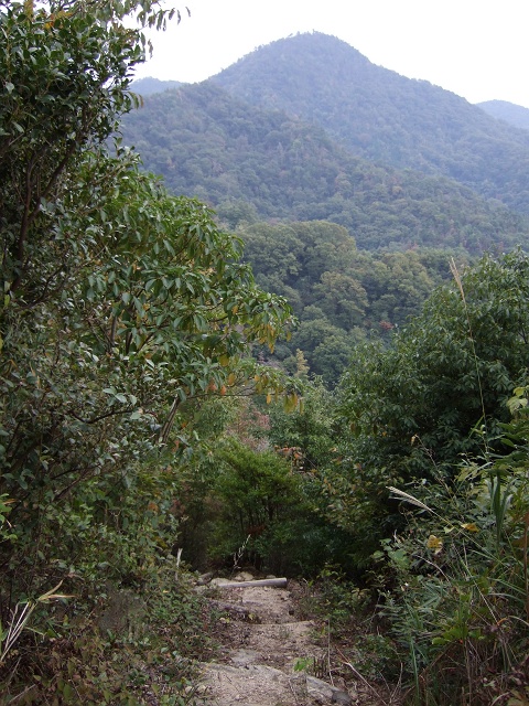b0095061_12134119.jpg
