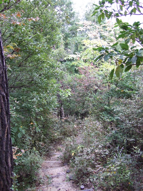b0095061_12263398.jpg