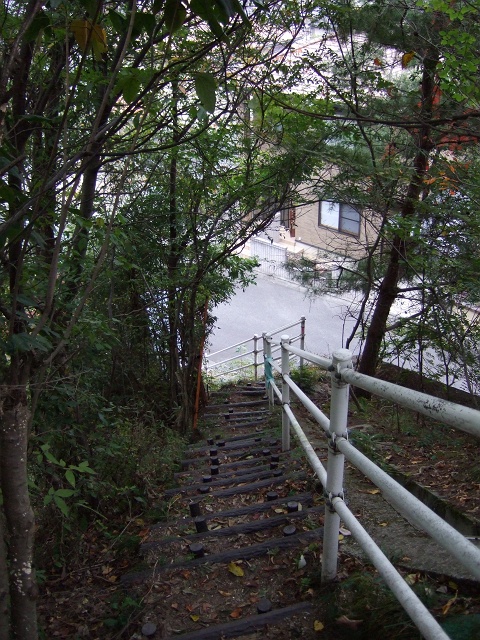b0095061_1229101.jpg