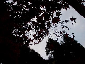 b0048766_22133493.jpg