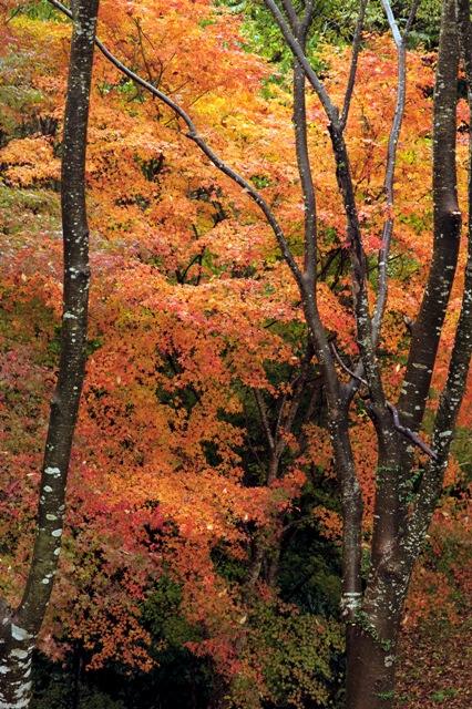 b0131167_23522891.jpg