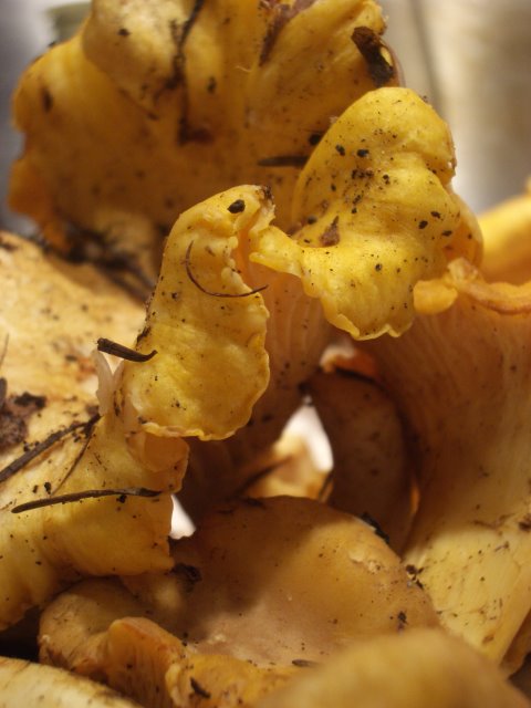 b0183670_48669.jpg