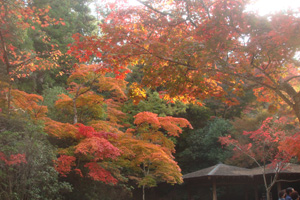 f0202071_1054329.jpg