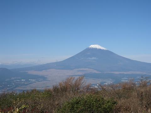 a0081772_21582397.jpg