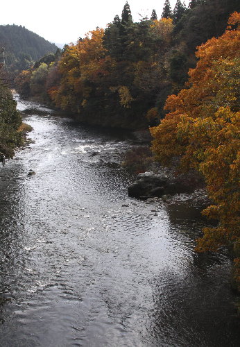 f0181173_171011.jpg