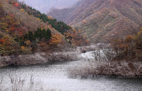 f0181173_175084.jpg