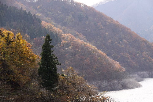 f0181173_1753278.jpg