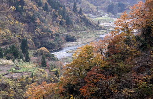 f0181173_176219.jpg