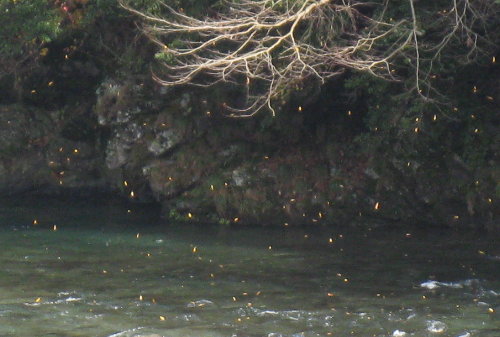 f0181173_23493481.jpg